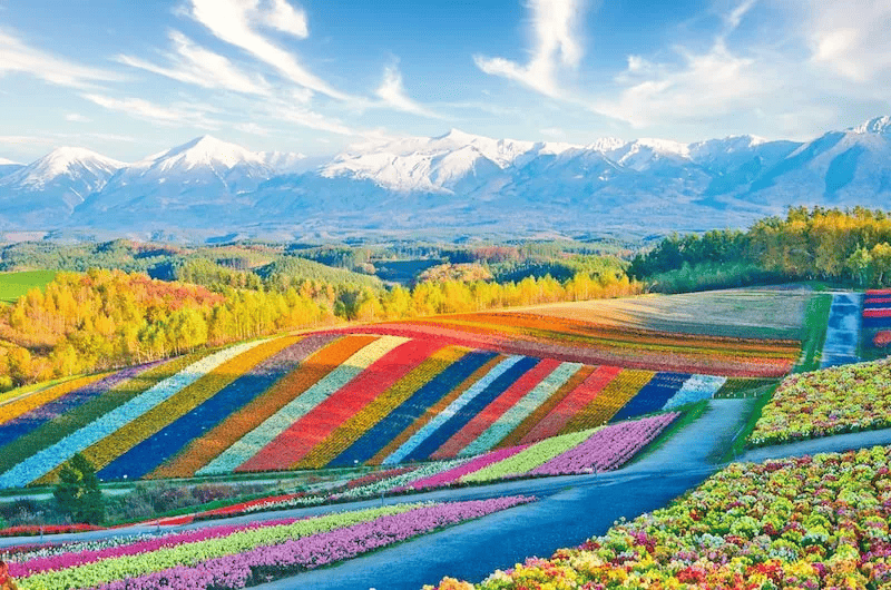 Best Places to Visit in Asia in Summer 2026: 8 Destinations Worth the Heat