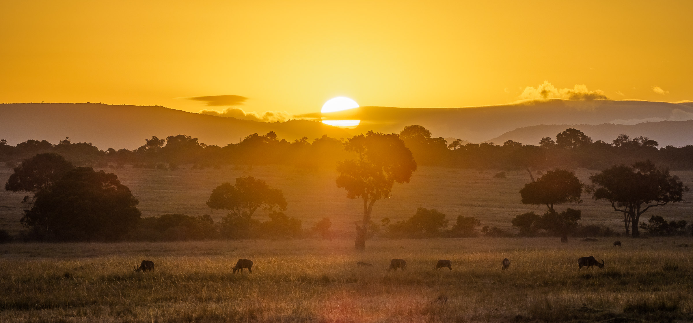 The 8 Best Places to Visit in Africa and Oceania This Summer 2026
