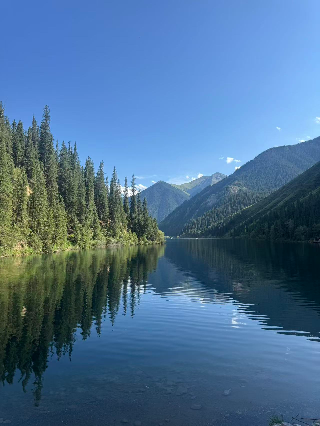 image-20260824172949032